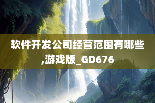 软件开发公司经营范围有哪些,游戏版_GD676