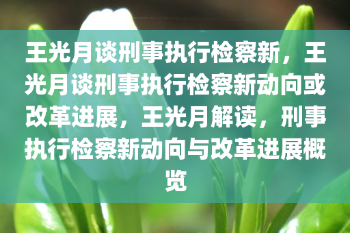 王光月谈刑事执行检察新，王光月谈刑事执行检察新动向或改革进展，王光月解读，刑事执行检察新动向与改革进展概览