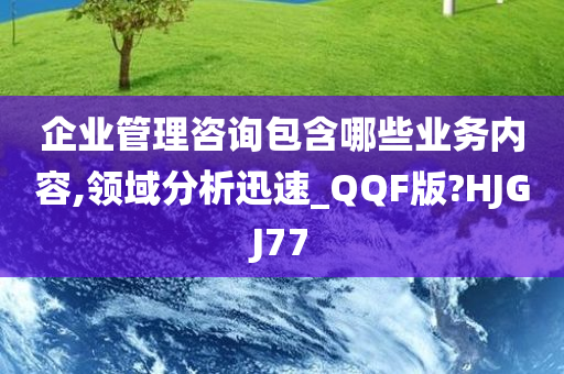 企业管理咨询包含哪些业务内容,领域分析迅速_QQF版?HJGJ77