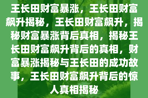 王长田财富暴涨，王长田财富飙升揭秘，王长田财富飙升，揭秘财富暴涨背后真相，揭秘王长田财富飙升背后的真相，财富暴涨揭秘与王长田的成功故事，王长田财富飙升背后的惊人真相揭秘