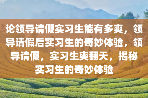 论领导请假实习生能有多爽，领导请假后实习生的奇妙体验，领导请假，实习生爽翻天，揭秘实习生的奇妙体验