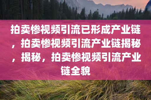 拍卖惨视频引流已形成产业链，拍卖惨视频引流产业链揭秘，揭秘，拍卖惨视频引流产业链全貌