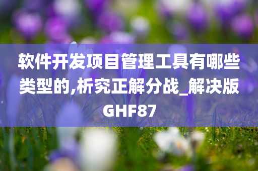 软件开发项目管理工具有哪些类型的,析究正解分战_解决版GHF87