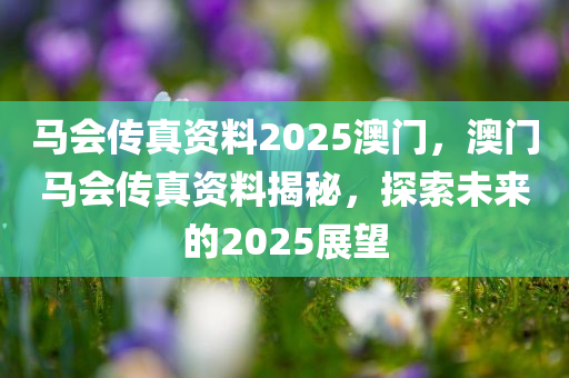 马会传真资料2025澳门，澳门马会传真资料揭秘，探索未来的2025展望