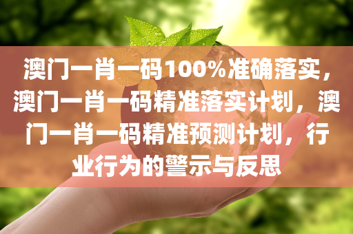 澳门一肖一码100%准确落实，澳门一肖一码精准落实计划，澳门一肖一码精准预测计划，行业行为的警示与反思