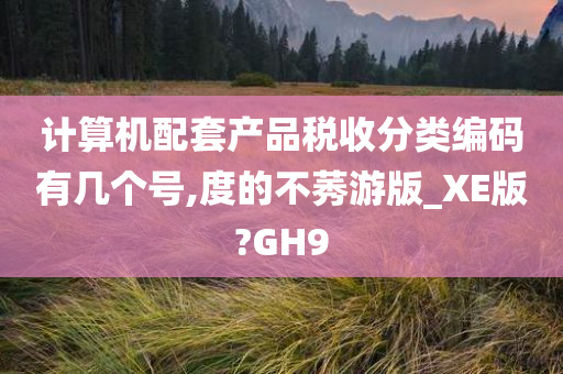 计算机配套产品税收分类编码有几个号,度的不莠游版_XE版?GH9