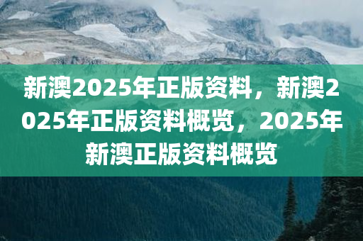 新澳2025年正版资料，新澳2025年正版资料概览，2025年新澳正版资料概览