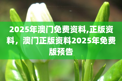 2025年澳门免费资料,正版资料，澳门正版资料2025年免费版预告