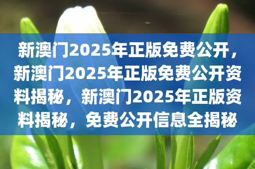 新澳门2025年正版免费公开，新澳门2025年正版免费公开资料揭秘，新澳门2025年正版资料揭秘，免费公开信息全揭秘