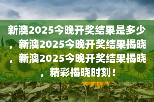 新澳2025今晚开奖结果是多少，新澳2025今晚开奖结果揭晓，新澳2025今晚开奖结果揭晓，精彩揭晓时刻！