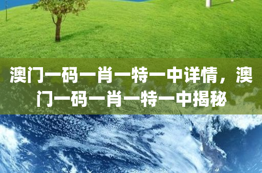 澳门一码一肖一特一中详情，澳门一码一肖一特一中揭秘