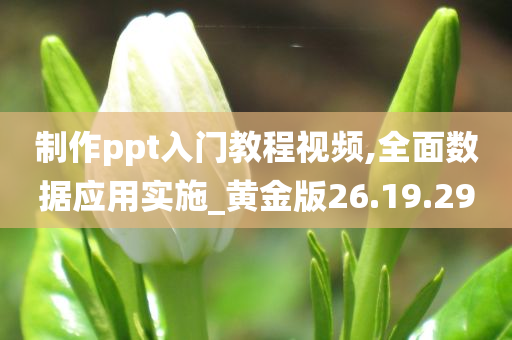 制作ppt入门教程视频,全面数据应用实施_黄金版26.19.29