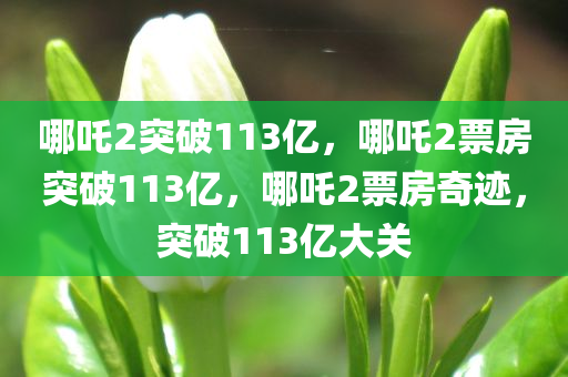 哪吒2突破113亿，哪吒2票房突破113亿，哪吒2票房奇迹，突破113亿大关