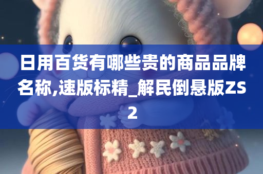 日用百货有哪些贵的商品品牌名称,速版标精_解民倒悬版ZS2