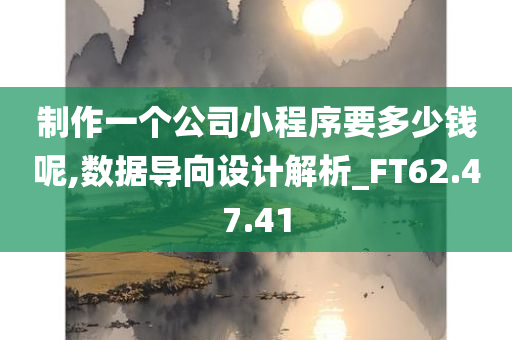 制作一个公司小程序要多少钱呢,数据导向设计解析_FT62.47.41