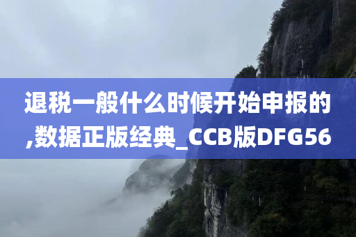 退税一般什么时候开始申报的,数据正版经典_CCB版DFG56