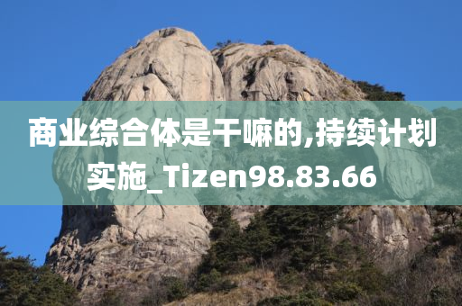 商业综合体是干嘛的,持续计划实施_Tizen98.83.66