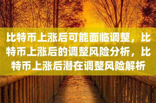 比特币上涨后可能面临调整，比特币上涨后的调整风险分析，比特币上涨后潜在调整风险解析