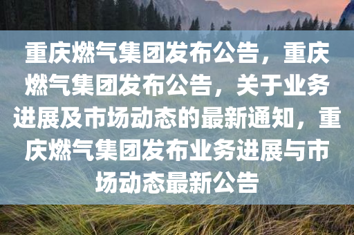 重庆燃气集团发布公告，重庆燃气集团发布公告，关于业务进展及市场动态的最新通知，重庆燃气集团发布业务进展与市场动态最新公告