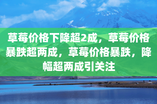 2025年2月17日 第20页