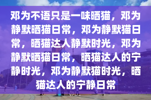 邓为不语只是一味晒猫，邓为静默晒猫日常，邓为静默猫日常，晒猫达人静默时光，邓为静默晒猫日常，晒猫达人的宁静时光，邓为静默猫时光，晒猫达人的宁静日常