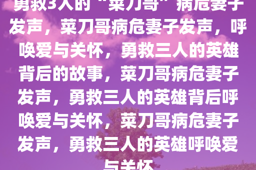 勇救3人的“菜刀哥”病危妻子发声，菜刀哥病危妻子发声，呼唤爱与关怀，勇救三人的英雄背后的故事，菜刀哥病危妻子发声，勇救三人的英雄背后呼唤爱与关怀，菜刀哥病危妻子发声，勇救三人的英雄呼唤爱与关怀