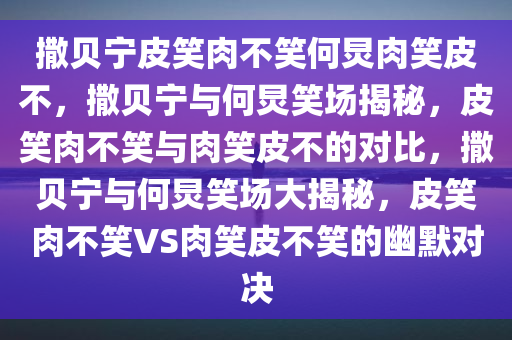 撒贝宁皮笑肉不笑何炅肉笑皮不，撒贝宁与何炅笑场揭秘，皮笑肉不笑与肉笑皮不的对比，撒贝宁与何炅笑场大揭秘，皮笑肉不笑VS肉笑皮不笑的幽默对决