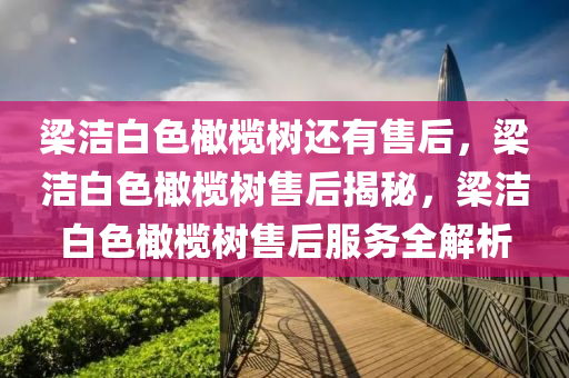 梁洁白色橄榄树还有售后，梁洁白色橄榄树售后揭秘，梁洁白色橄榄树售后服务全解析