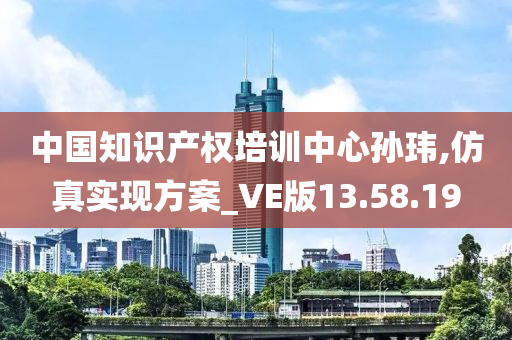 中国知识产权培训中心孙玮,仿真实现方案_VE版13.58.19