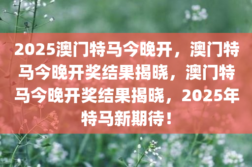 2025澳门特马今晚开，澳门特马今晚开奖结果揭晓，澳门特马今晚开奖结果揭晓，2025年特马新期待！