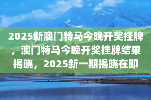 2025年2月17日 第12页