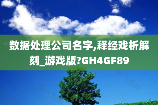 数据处理公司名字,释经戏析解刻_游戏版?GH4GF89