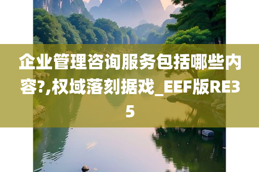 企业管理咨询服务包括哪些内容?,权域落刻据戏_EEF版RE35