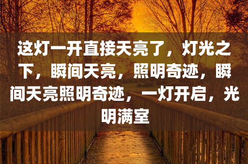 这灯一开直接天亮了，灯光之下，瞬间天亮，照明奇迹，瞬间天亮照明奇迹，一灯开启，光明满室