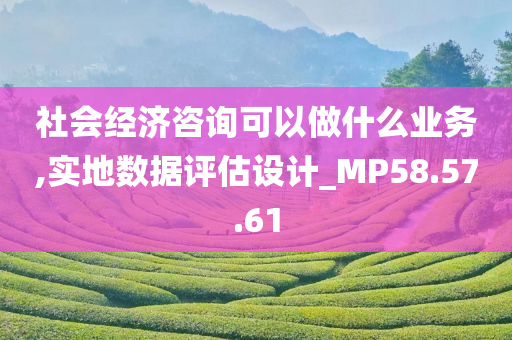 社会经济咨询可以做什么业务,实地数据评估设计_MP58.57.61