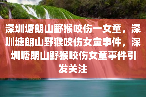 深圳塘朗山野猴咬伤一女童，深圳塘朗山野猴咬伤女童事件，深圳塘朗山野猴咬伤女童事件引发关注