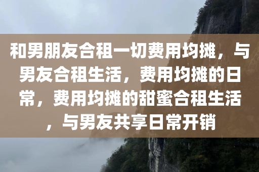 和男朋友合租一切费用均摊，与男友合租生活，费用均摊的日常，费用均摊的甜蜜合租生活，与男友共享日常开销