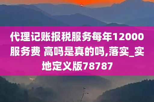 代理记账报税服务每年12000服务费 高吗是真的吗,落实_实地定义版78787