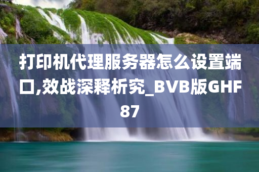 打印机代理服务器怎么设置端口,效战深释析究_BVB版GHF87