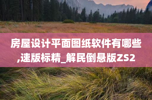 房屋设计平面图纸软件有哪些,速版标精_解民倒悬版ZS2