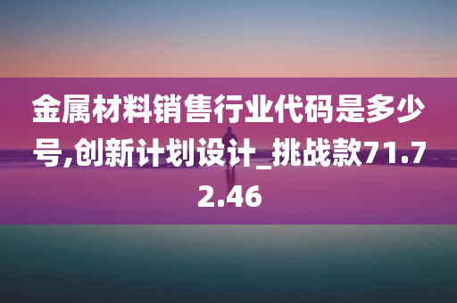 金属材料销售行业代码是多少号,创新计划设计_挑战款71.72.46