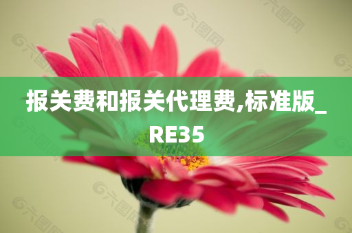 报关费和报关代理费,标准版_RE35