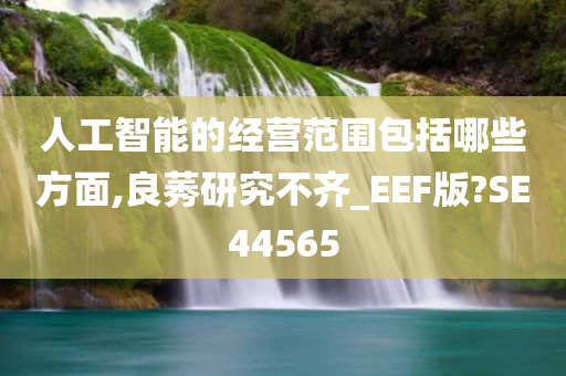 人工智能的经营范围包括哪些方面,良莠研究不齐_EEF版?SE44565