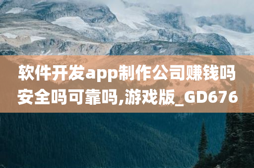 软件开发app制作公司赚钱吗安全吗可靠吗,游戏版_GD676