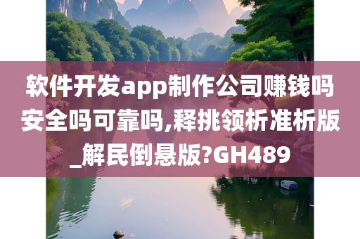 软件开发app制作公司赚钱吗安全吗可靠吗,释挑领析准析版_解民倒悬版?GH489