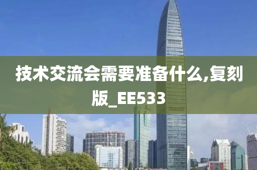 技术交流会需要准备什么,复刻版_EE533