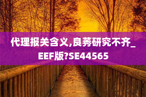 代理报关含义,良莠研究不齐_EEF版?SE44565