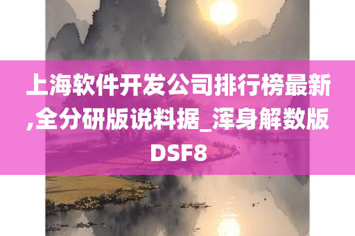 上海软件开发公司排行榜最新,全分研版说料据_浑身解数版DSF8