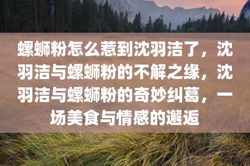 螺蛳粉怎么惹到沈羽洁了，沈羽洁与螺蛳粉的不解之缘，沈羽洁与螺蛳粉的奇妙纠葛，一场美食与情感的邂逅