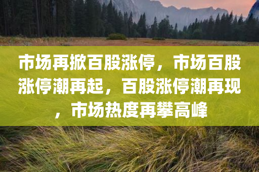 市场再掀百股涨停，市场百股涨停潮再起，百股涨停潮再现，市场热度再攀高峰